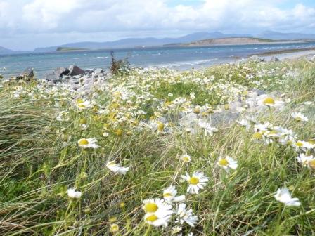 Bertra Strand