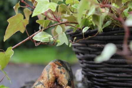 Impressionen aus dem Haus